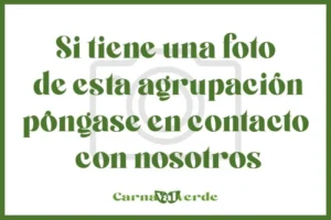 Antología Amanecer